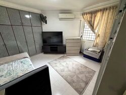 Blk 876 Tampines Spring (Tampines), HDB 4 Rooms #598228621
